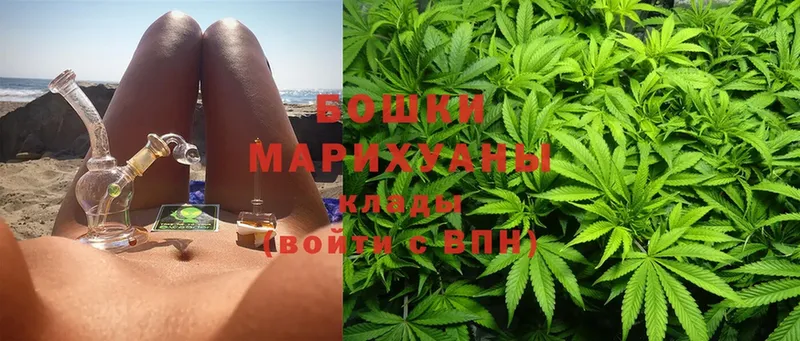 Бошки марихуана семена  магазин продажи наркотиков  Владимир 